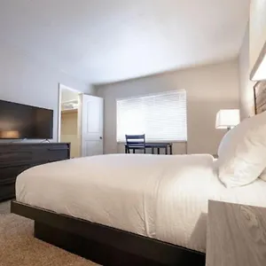 Westshore South Apt Apartment